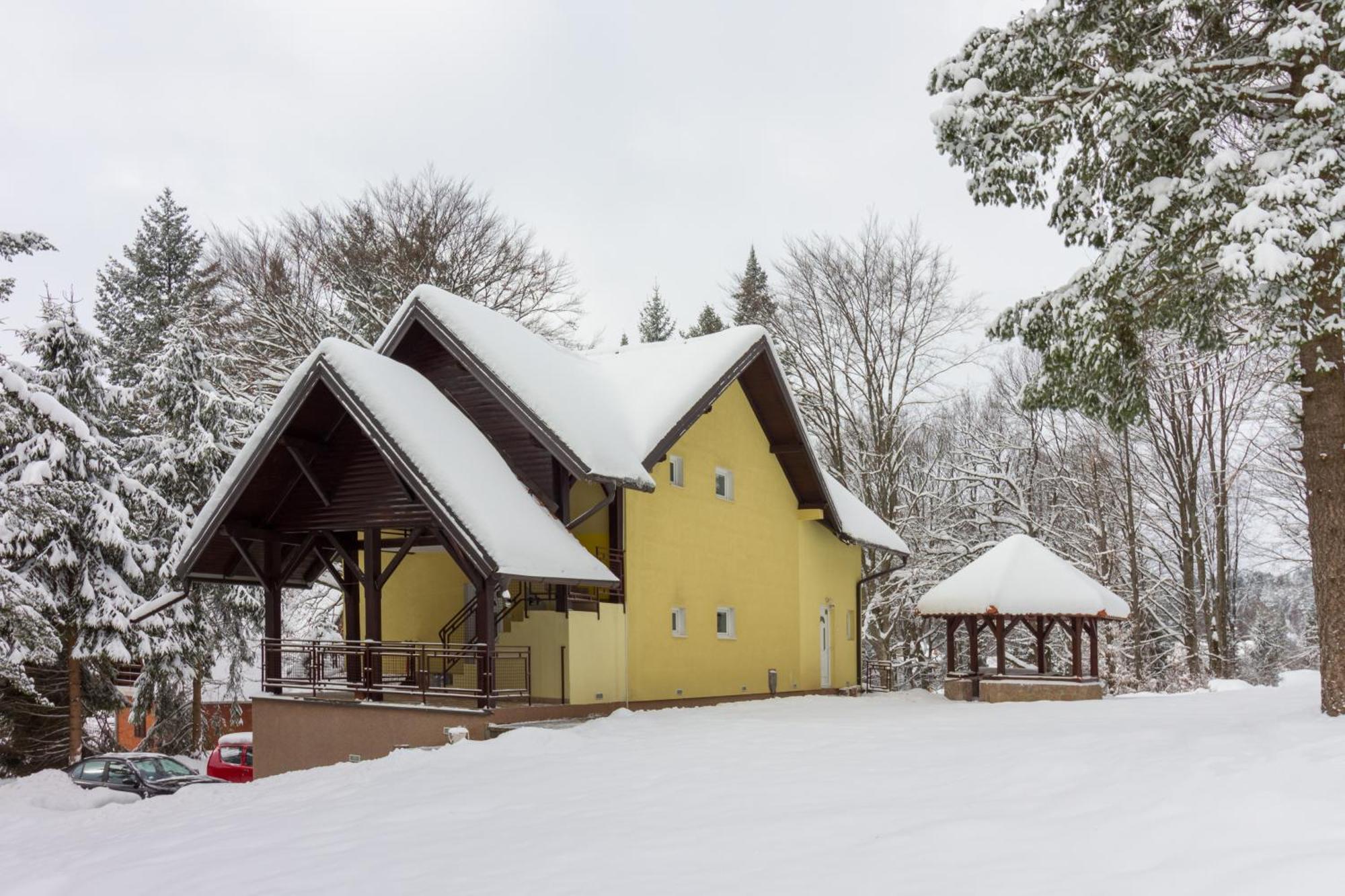 Vila Savinka Zlatibor Luaran gambar