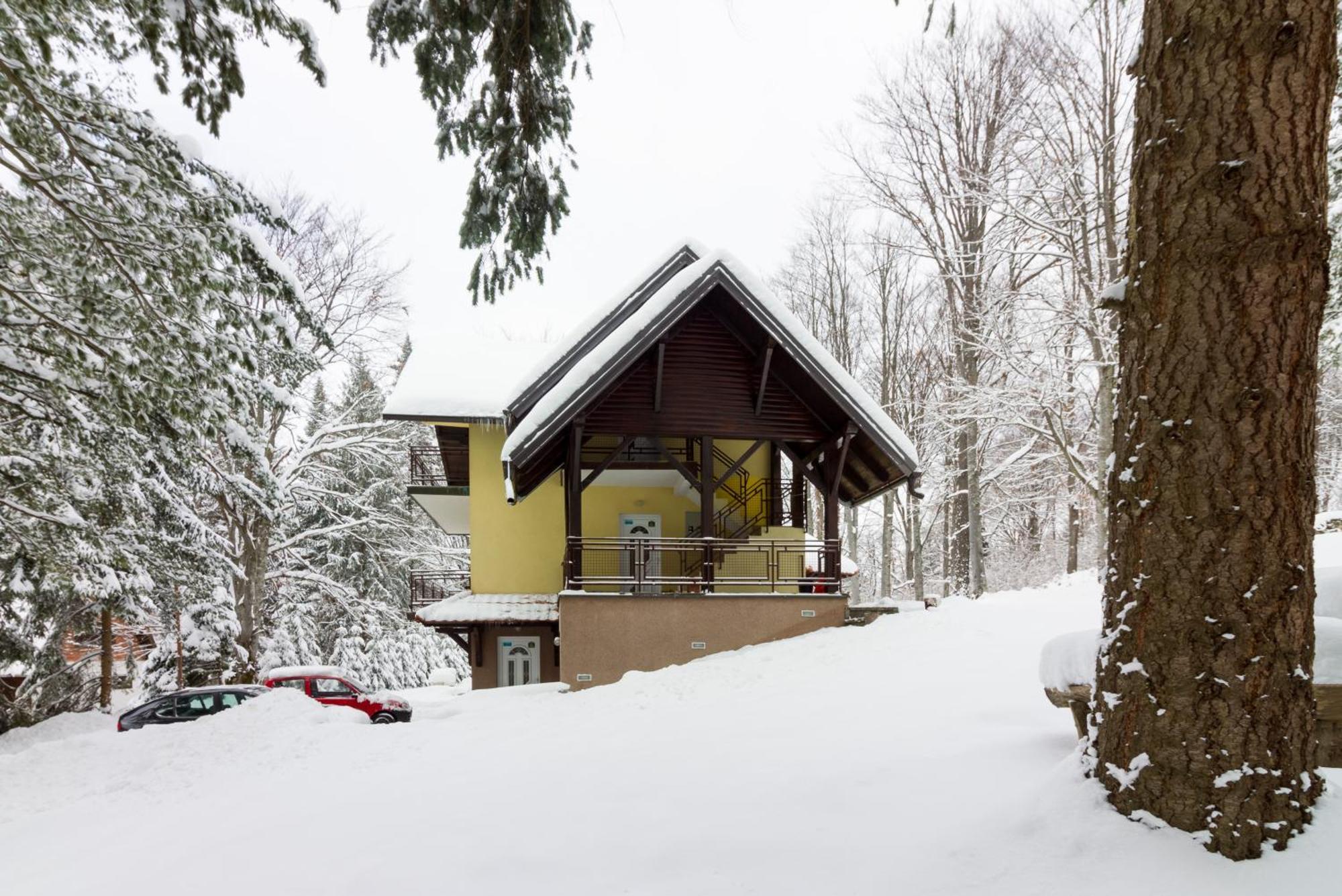 Vila Savinka Zlatibor Luaran gambar