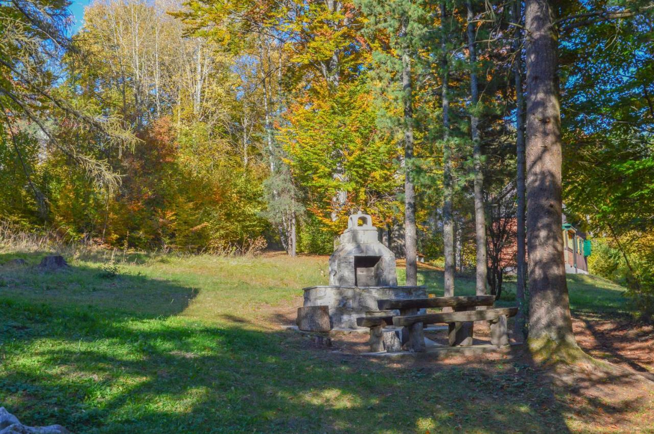 Vila Savinka Zlatibor Luaran gambar
