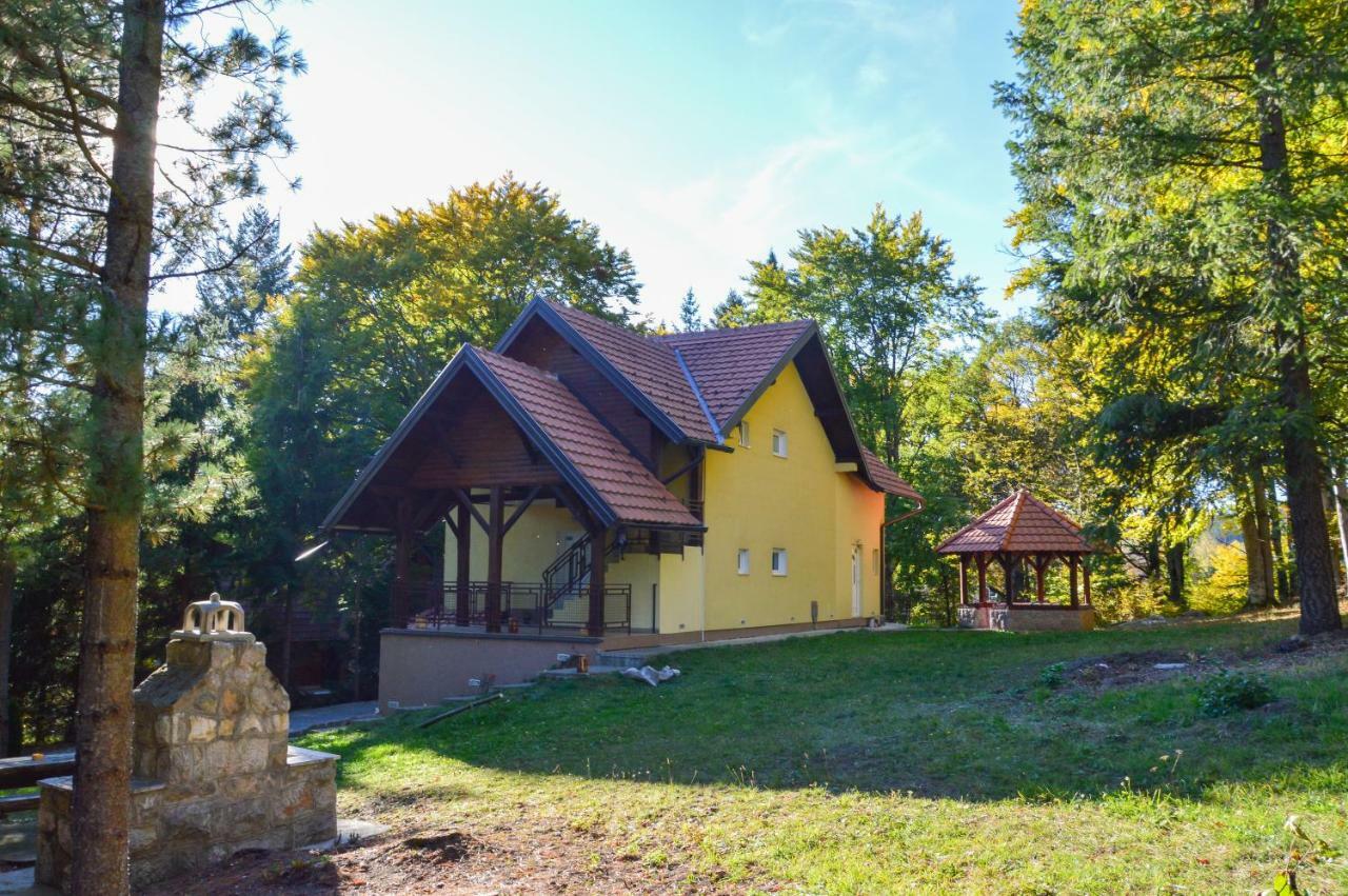 Vila Savinka Zlatibor Luaran gambar